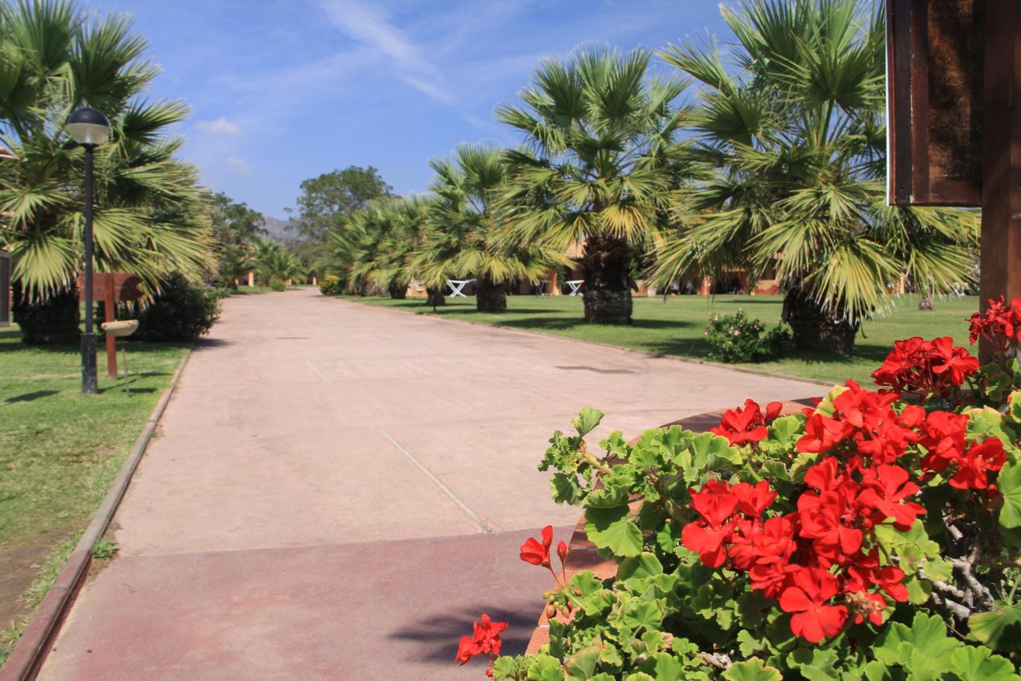 Rey Beach Club Monte Nai Kültér fotó